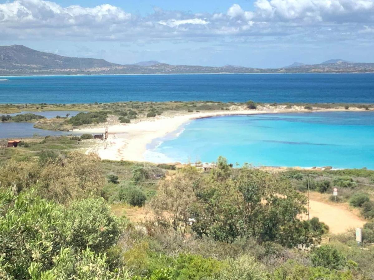 Ferienhaus Panorama, San Teodoro, Isuledda San Teodoro  Dış mekan fotoğraf